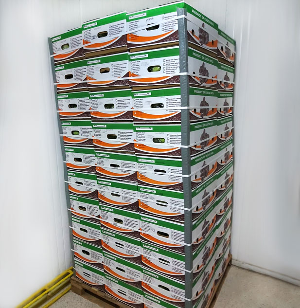 cajonJPG